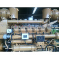 12.5-1250kva Biogasanlagengenerator